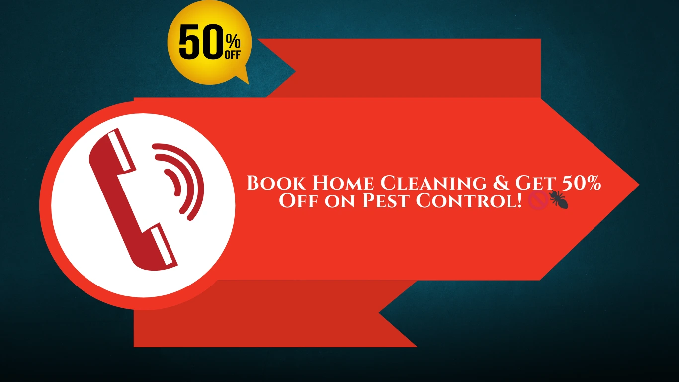 50% Off on Pest Control with Home Cleaning - Limited Time Offer